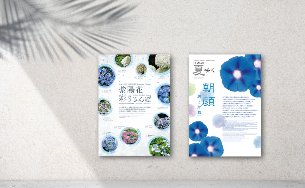 日本の四季の花を紹介する展示パネル。紫陽花の多様な品種をまとめた『紫陽花彩りさんぽ』と、夏の風物詩である朝顔をテーマにした『日本の夏咲く朝顔』のポスターが壁に展示されている。日本の伝統的な花々の魅力を伝え、訪日外国人にも楽しめるデザイン。
