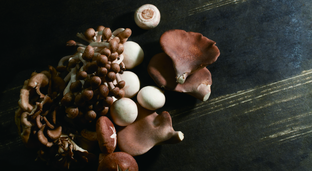 暗めのテーブルの上に、美しく配置された様々な種類のキノコ。ブラウンマッシュルーム、しめじ、ヒラタケ、しいたけなど、秋の味覚を象徴する食材が並ぶ。自然な光と影のコントラストが、キノコの質感と色合いを引き立て、温かみのある雰囲気を演出している。中国レストランの多様な料理に活用できる食材としての魅力を表現。